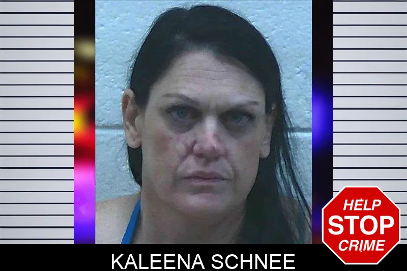 Kaleena Schnee mugshot