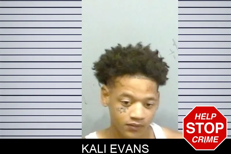 Kali Evans mugshot – Fulton County , Georgia Kali Evans mugshot