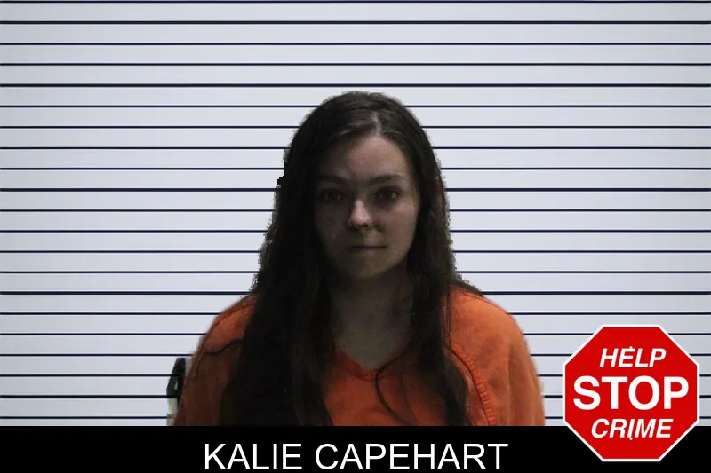 Kalie Capehart mugshot