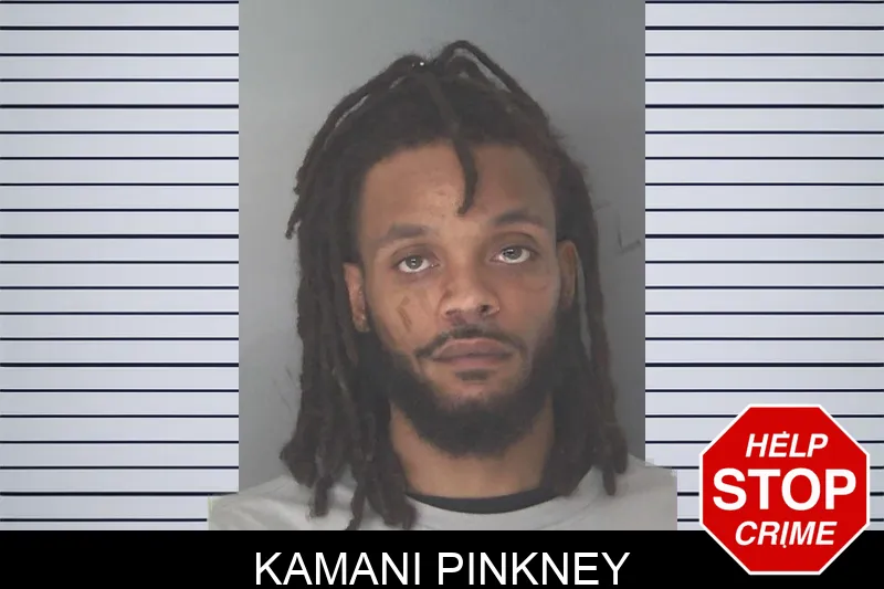 Kamani Pinkney mugshot