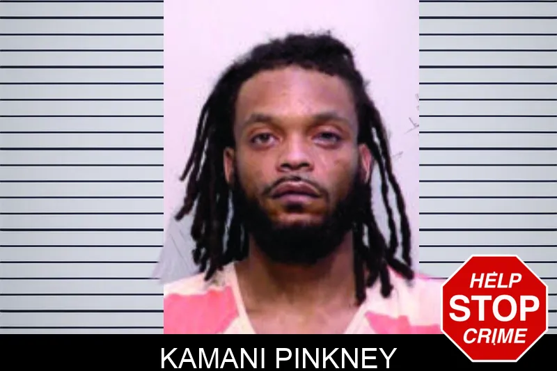 Kamani Pinkney mugshot – Bartow County , Georgia Kamani Pinkney mugshot