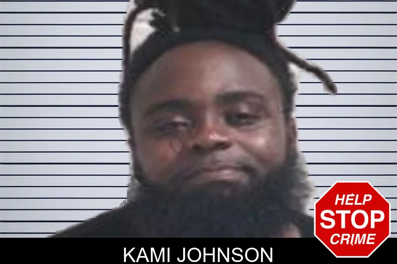 Kami Johnson mugshot – Henry County , Georgia Kami Johnson mugshot