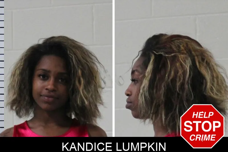 Kandice Lumpkin mugshot – Houston County , Georgia Kandice Lumpkin mugshot
