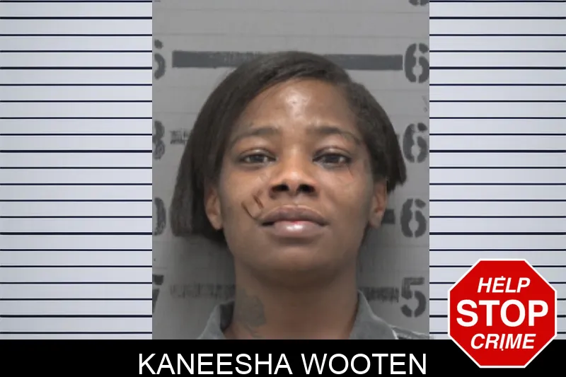 Kaneesha Wooten mugshot – Dougherty County , Georgia Kaneesha Wooten mugshot