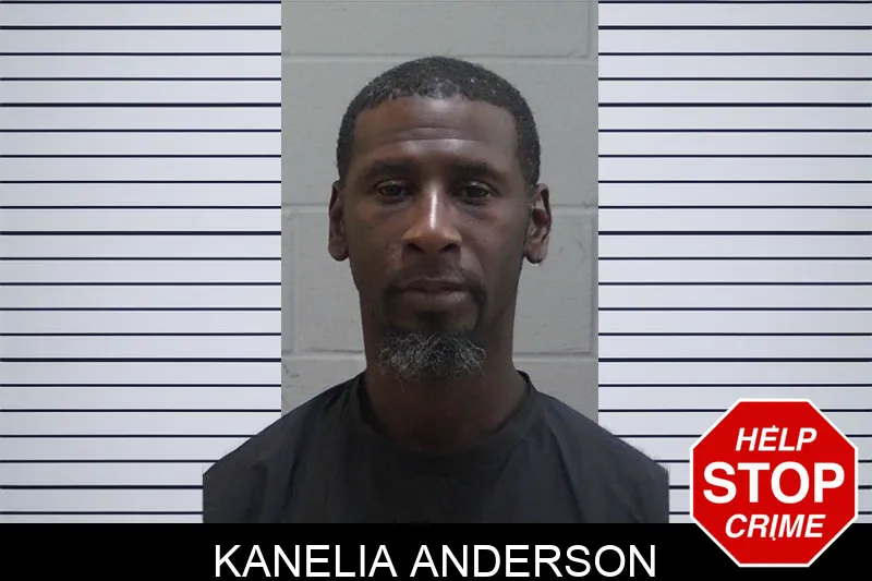 Kanelia Anderson mugshot