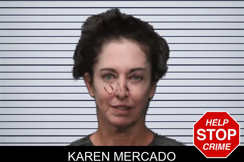 Karen Mercado mugshot