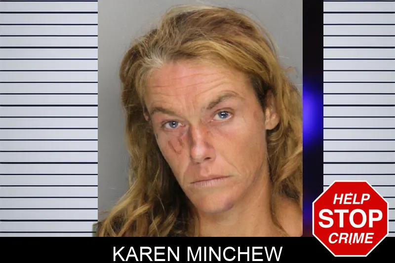 Karen Minchew mugshot – Cobb County , Georgia Karen Minchew mugshot