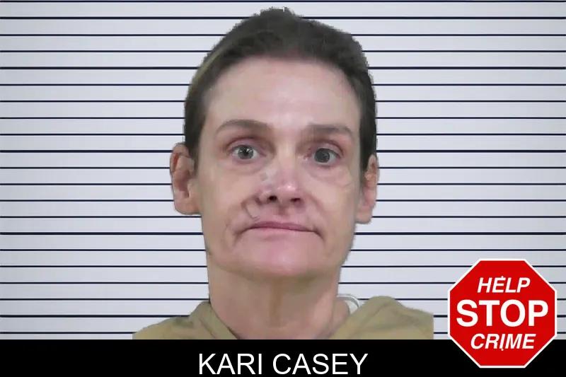 Kari Casey mugshot