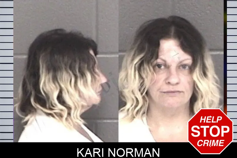 Kari Norman mugshot – Barrow County , Georgia Kari Norman mugshot