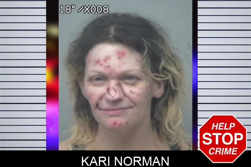 Kari Norman mugshot