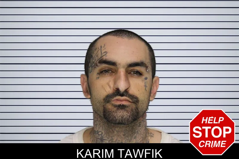 Karim Tawfik mugshot