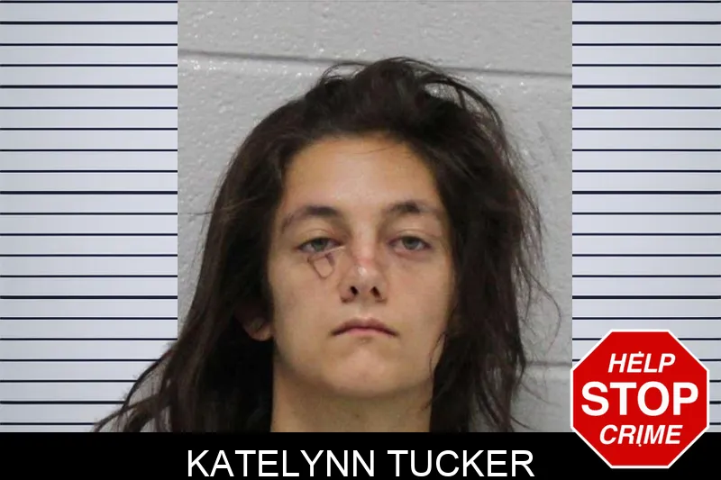 Katelynn Tucker mugshot – Carroll County , Georgia Katelynn Tucker mugshot