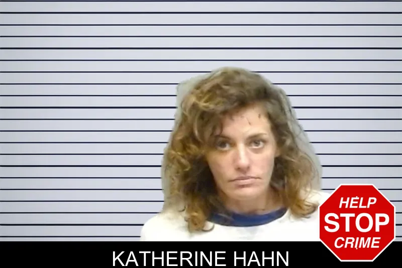 Katherine Hahn mugshot – Fulton County , Georgia Katherine Hahn mugshot
