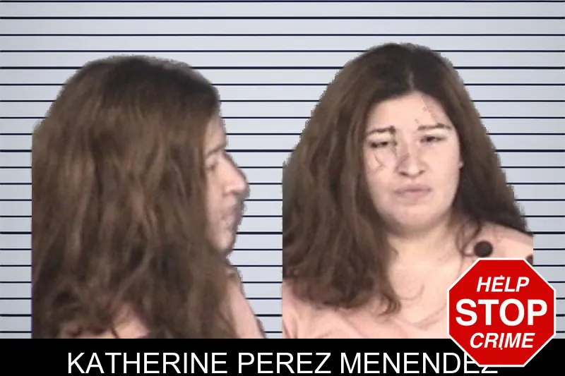 Katherine Perez Menendez mugshot