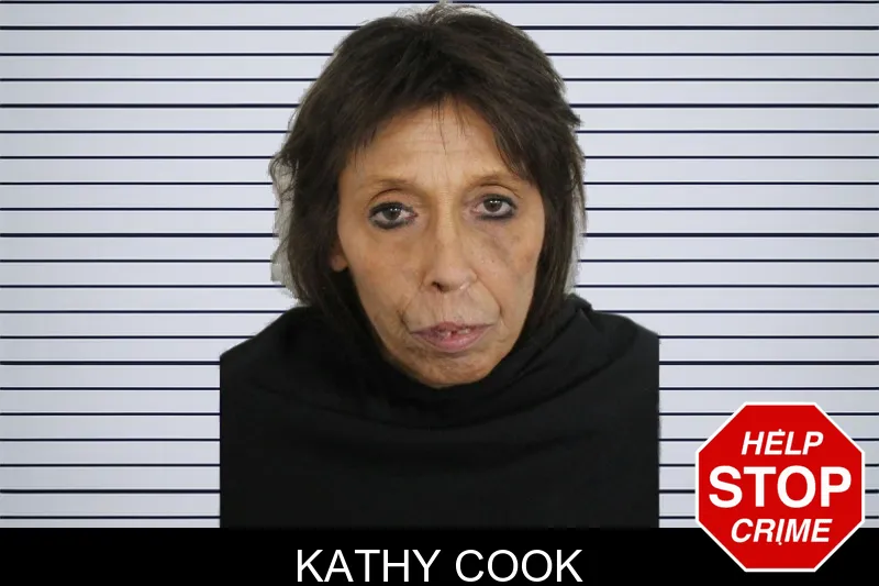 Kathy Cook mugshot