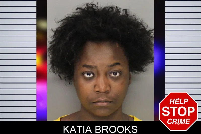 Katia Brooks mugshot – Cobb County , Georgia Katia Brooks mugshot