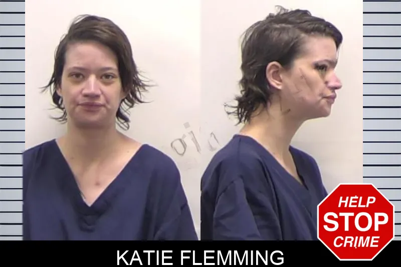 Katie Flemming mugshot – Clarke County , Georgia Katie Flemming mugshot