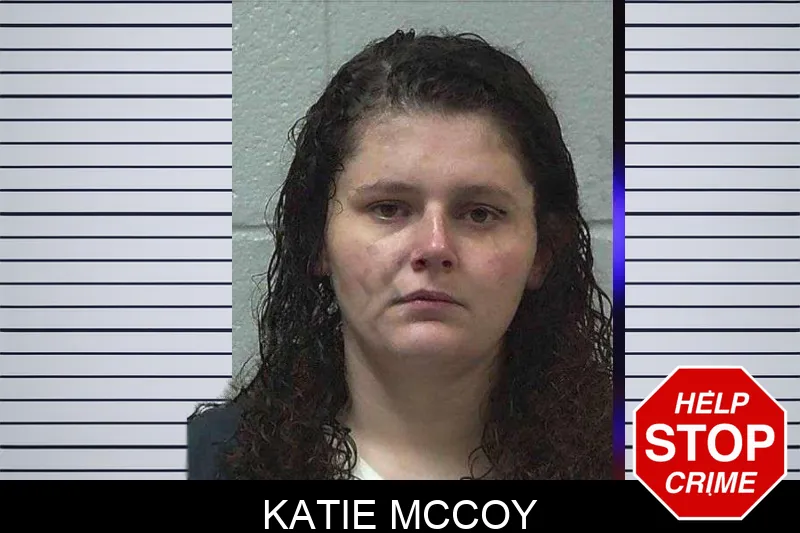 Katie McCoy mugshot – Gilmer County , Georgia Katie McCoy mugshot