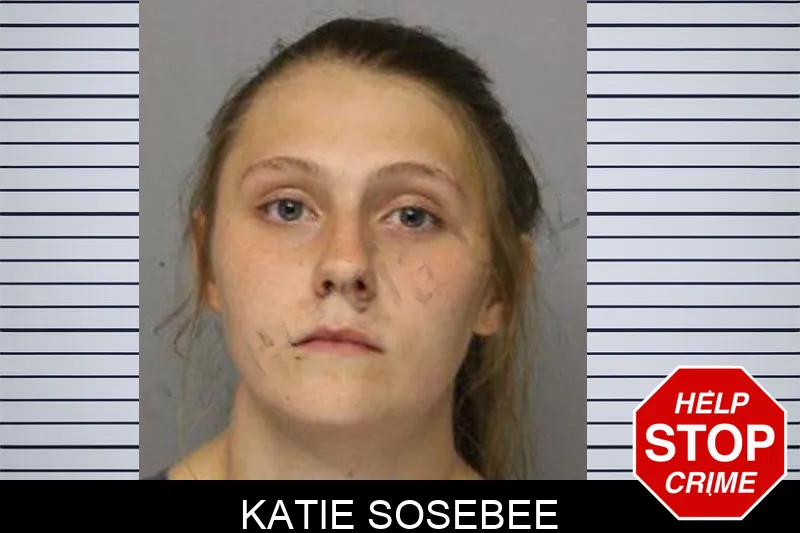 Katie Sosebee mugshot