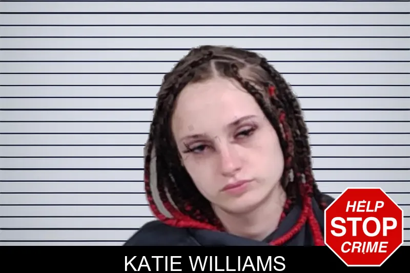 Katie Williams mugshot – Lowndes County , Georgia Katie Williams mugshot