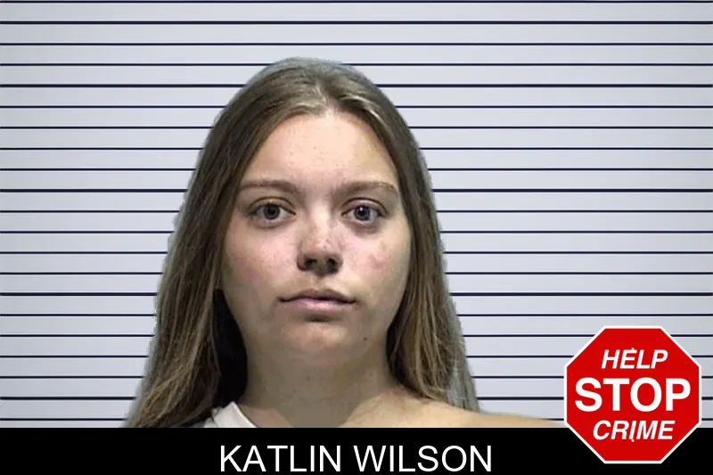 Katlin Wilson mugshot