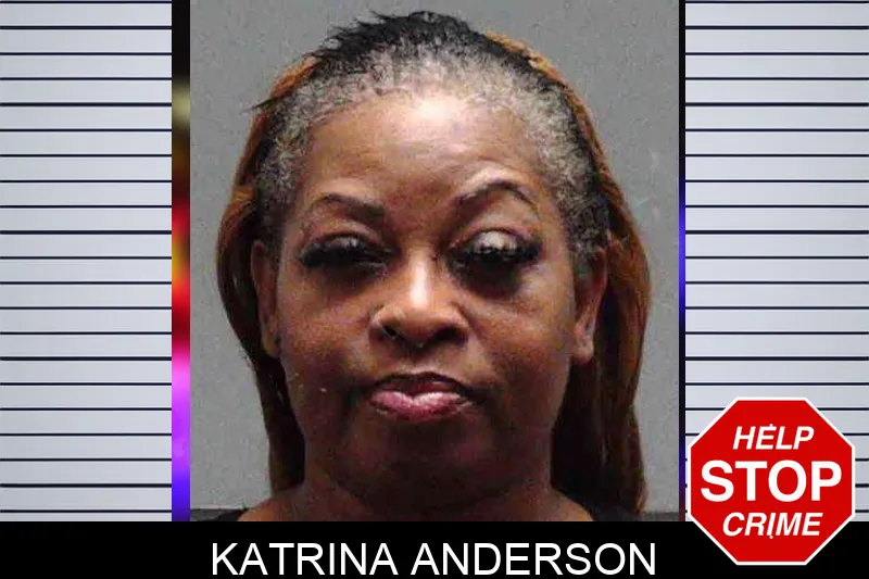 Katrina Anderson mugshot