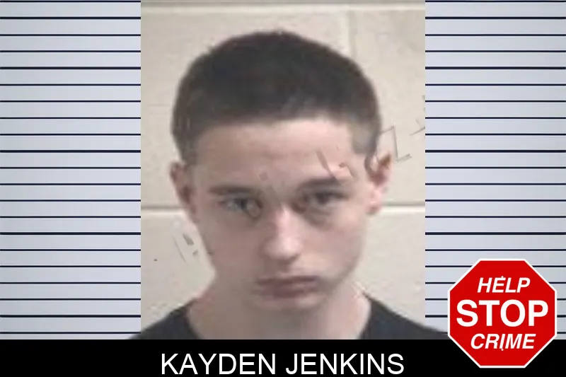 Kayden Jenkins mugshot