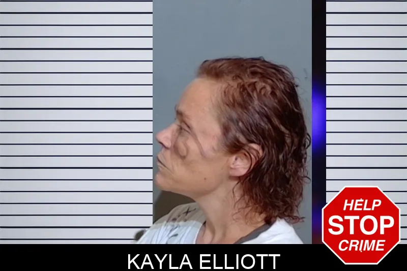 Kayla Elliott mugshot – Glynn County , Georgia Kayla Elliott mugshot