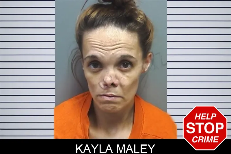 Kayla Maley mugshot – Cherokee County , Georgia Kayla Maley mugshot