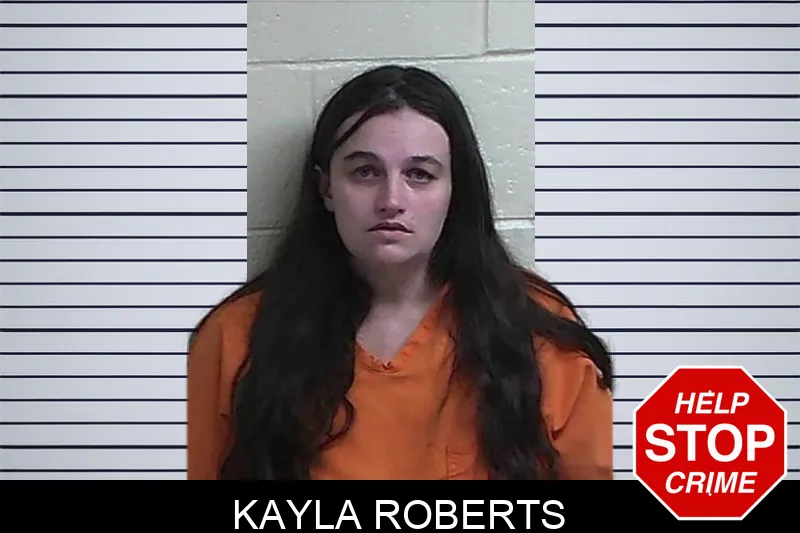 Kayla Roberts mugshot – Fannin County , Georgia Kayla Roberts mugshot