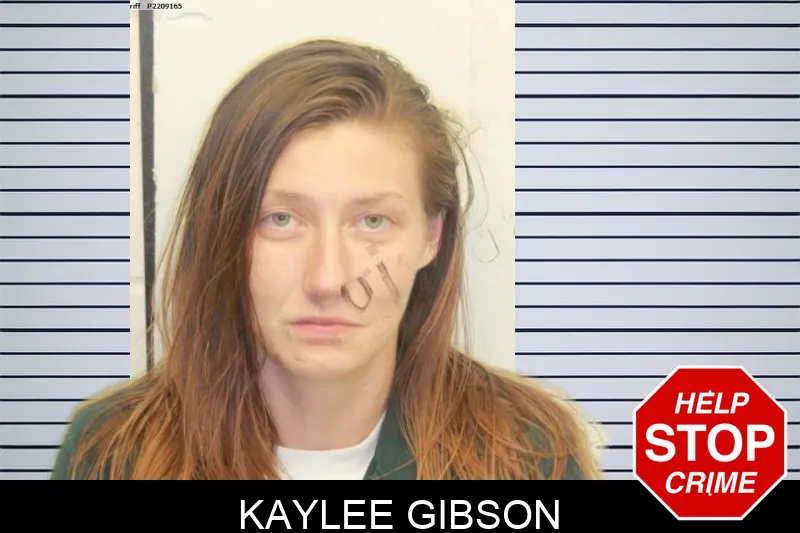 Kaylee Gibson mugshot