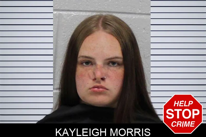 Kayleigh Morris mugshot