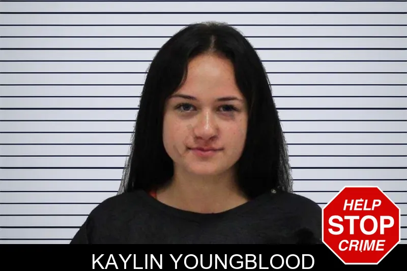 Kaylin Youngblood mugshot – Carroll County , Georgia Kaylin Youngblood mugshot