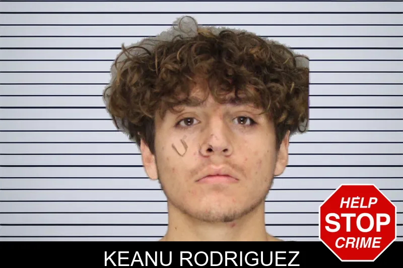 Keanu Rodriguez mugshot – Cobb County , Georgia Keanu Rodriguez mugshot