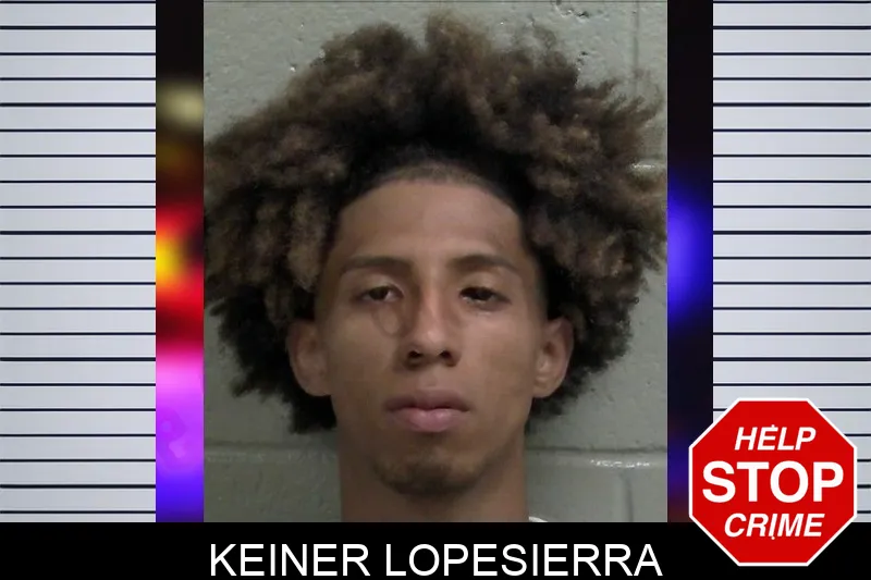 Keiner Lopesierra mugshot – Wayne County , Georgia Keiner Lopesierra mugshot