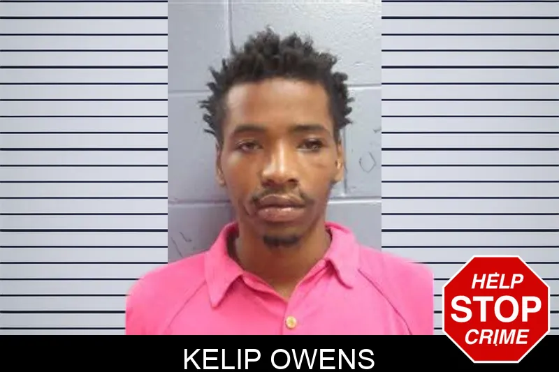 Kelip Owens mugshot – Lee County , Georgia Kelip Owens mugshot