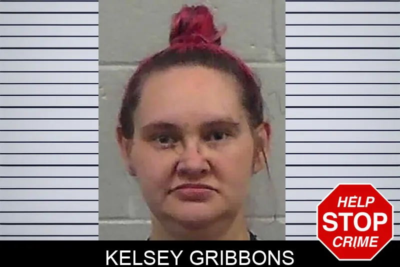 Kelsey Gribbons mugshot