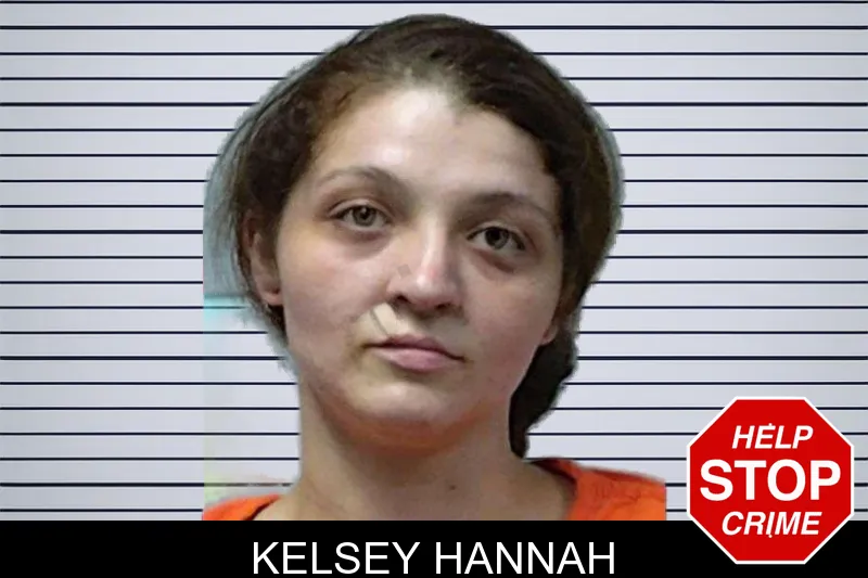 Kelsey Hannah mugshot – Dade County , Georgia Kelsey Hannah mugshot