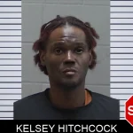 Kelsey Hitchcock mugshot