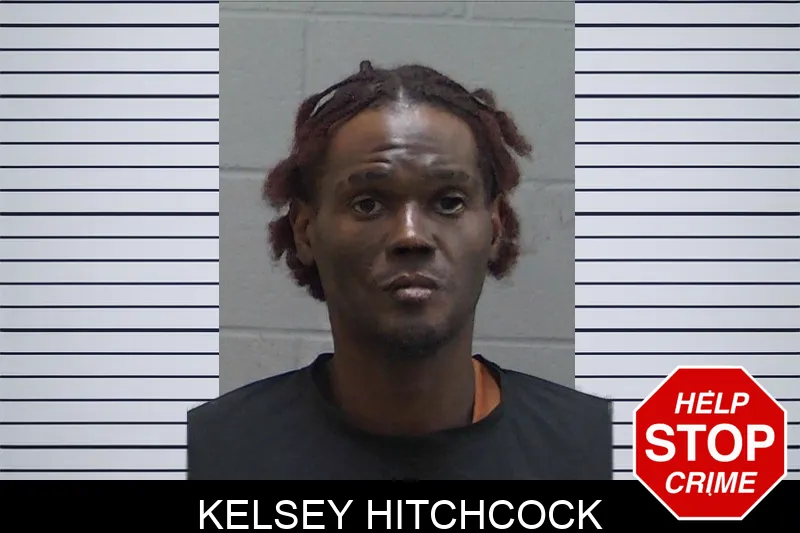 Kelsey Hitchcock mugshot – Madison County , Georgia Kelsey Hitchcock mugshot