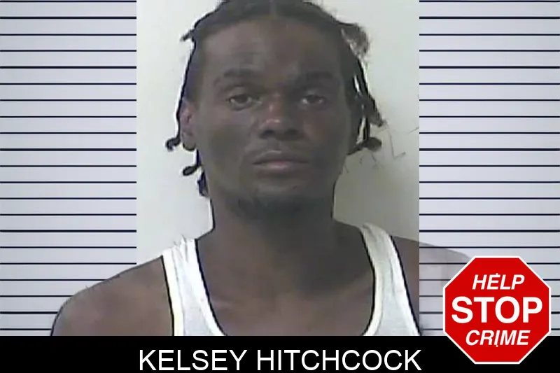 Kelsey Hitchcock mugshot