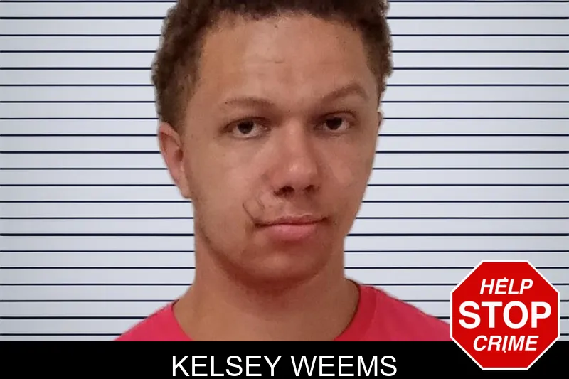 Kelsey Weems mugshot