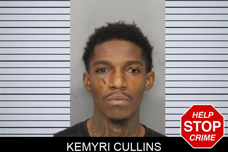 Kemyri Cullins mugshot – Cobb County , Georgia Kemyri Cullins mugshot