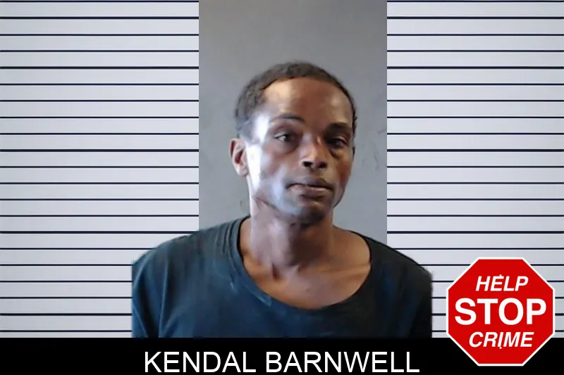 Kendal Barnwell mugshot – DeKalb County , Georgia Kendal Barnwell mugshot