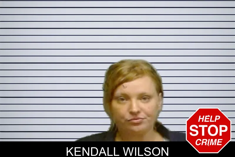 Kendall Wilson mugshot