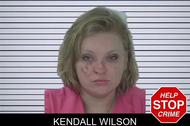 Kendall Wilson mugshot