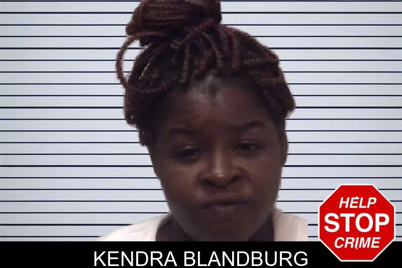 Kendra Blandburg mugshot – Coweta County , Georgia Kendra Blandburg mugshot
