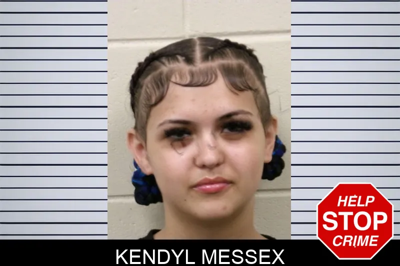 Kendyl Messex mugshot – Bulloch County , Georgia Kendyl Messex mugshot