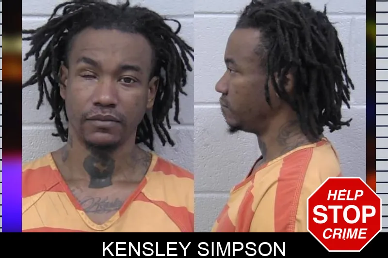 Kensley Simpson mugshot – Paulding County , Georgia Kensley Simpson mugshot