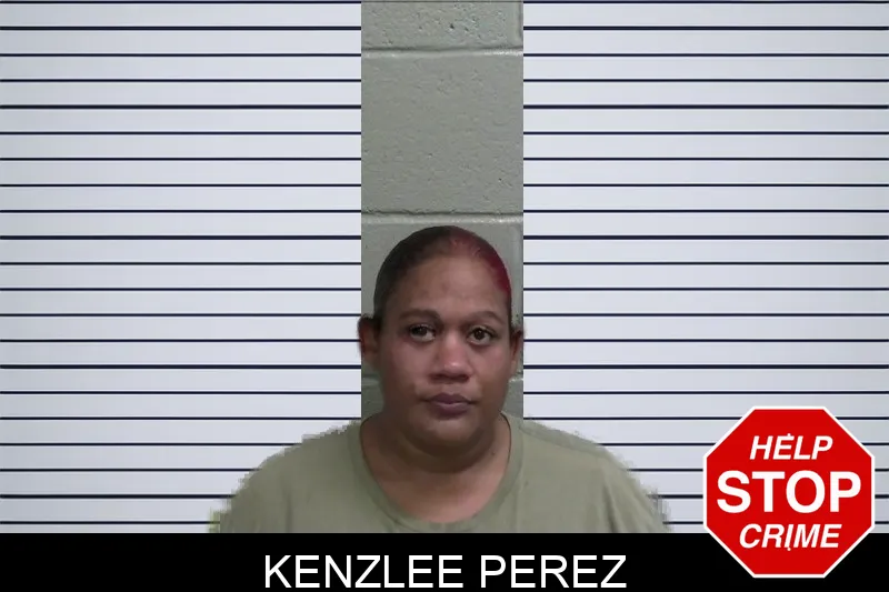 Kenzlee Perez mugshot